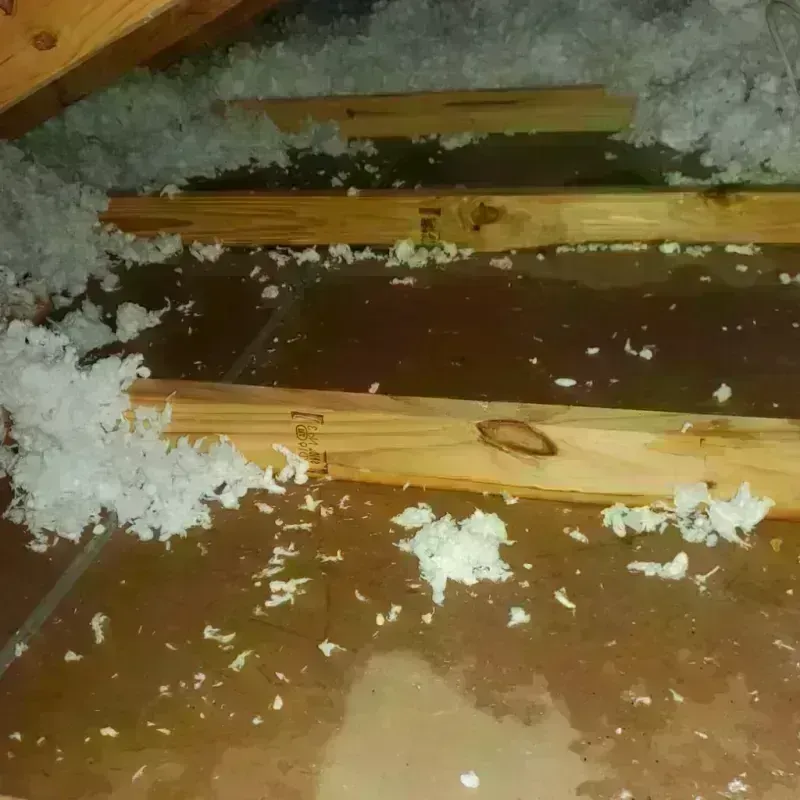 Attic Water Damage in Columbus, TX