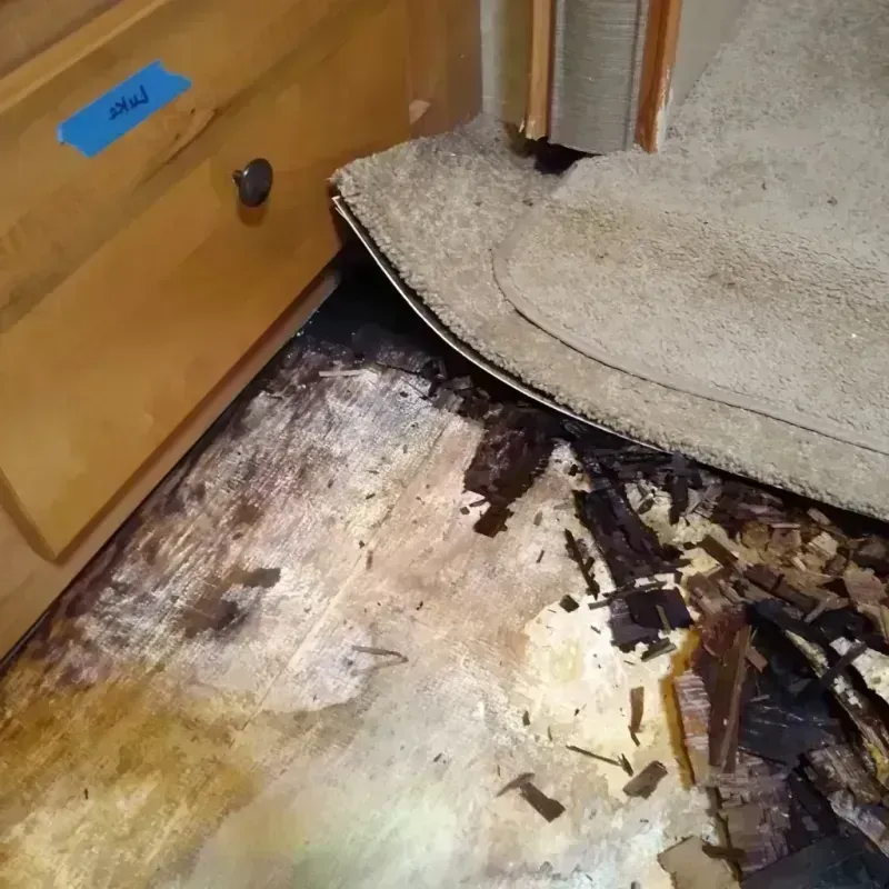 Wood Floor Water Damage in Columbus, TX